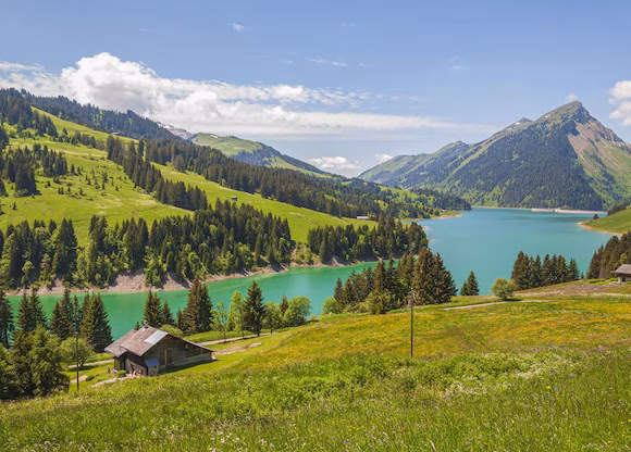 Switzerland & France