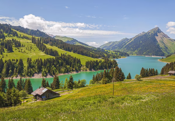 Switzerland & France  